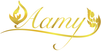 aamy_logo